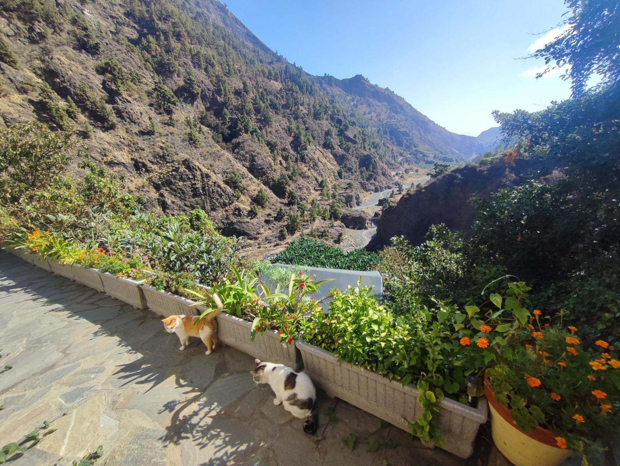 Rivendell Eco Lodge El Paso Zewnętrze zdjęcie